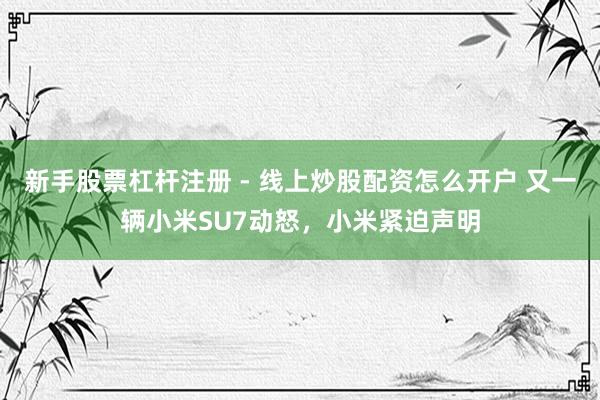 新手股票杠杆注册 - 线上炒股配资怎么开户 又一辆小米SU7动怒，小米紧迫声明