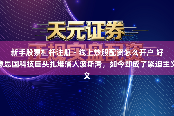 新手股票杠杆注册 - 线上炒股配资怎么开户 好意思国科技巨头扎堆涌入波斯湾，如今却成了紧迫主义